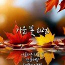 10월의 엽서 이미지