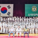 용인대신성태권도장 이미지