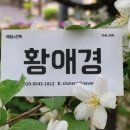 피자스쿨역사점