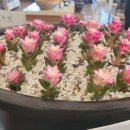 정담명가 남원추어탕 이미지