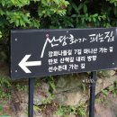 산당화가 피는집 이미지