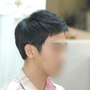 다모란 이미지