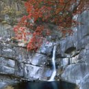 정선양떼목장 이미지