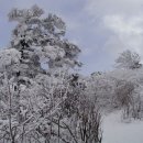 겨울산 산행 눈꽃여행지 추천 설산 BEST 5 이미지