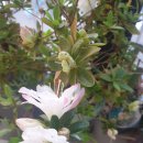 소답동159 이미지