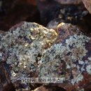 에델바이스 민박 이미지