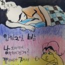 피노미나 이미지