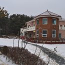 꿈숲유치원 이미지