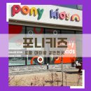 디포니 이미지