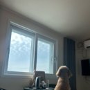 동막여관 | 강화도 동막여관 애견펜션 강화애견동반 숙소 내돈내산