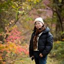 2024.11.20(수)낭만&amp;여행 스토리 이미지