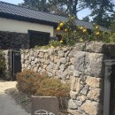 돌랑채 | [제주/애월] 돌랑채 : 내돈내산 애월 펜션 1박 솔직 후기 | 야외 자쿠지 | 애월 숙소 추천