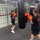 유타복싱클럽 이미지