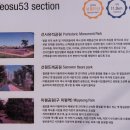 여천동 주민센터 앞 이미지