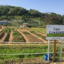 동산농장(1) 이미지