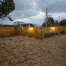 맘앤도그 이미지