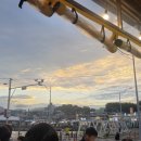선매운탕 | 대포항 횟집 소선활어 바다 보면서 먹은 내돈내산 후기💛