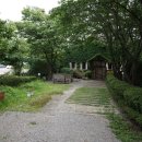 숲속의 섬 이미지