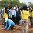 봉축농장 Daum카페