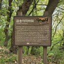 완산-151 이미지