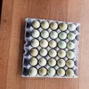 성조농장 이미지