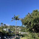 위트선데이 이미지