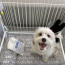 바로슬동물병원 이미지