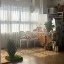 인화반점 | 청주사진관 마리즈스튜디오 프로필촬영 후기