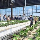 정광호농장 이미지