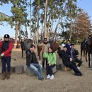 휘게목장 이미지