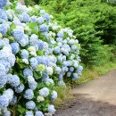 동광단지경로당 이미지