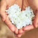 엠여성의원 이미지