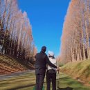 장윤정 카카오 검색결과