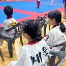 명장 태권도장 이미지