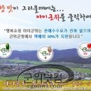 친환경농산물웰빙시대 네이버블로그