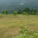 지우태양광 이미지