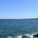 바닷가동화마을 | 이탈리아 남부 여행 아풀리아 종일 투어 후기