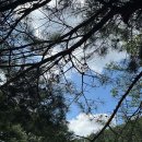 고산자연휴양림 이미지