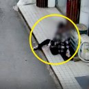 은선재활주간보호센터