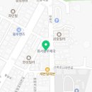 강아지분양 고양이분양 컴투펫 수원점 이미지