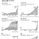 직선본능 이미지