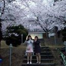 청학동해물칼국수 이미지