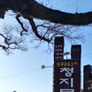 삼다수숲길 1코스 이미지