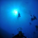 괌~ 수중사진입니다 ^^ (SM다이빙 4월 2일~5일) 이미지