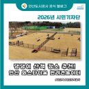 봄이 아빠의 댕댕이 간식 | 댕댕이 산책 장소 추천! 안산 와스타디움 반려견놀이터