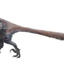 데이노니쿠스 이미지