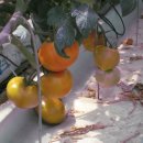 해랑농장 이미지