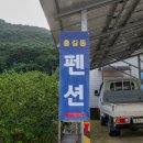 숲속 나들이 펜션 | &lt;장성펜션&gt; 장성축령산 편백숲 속 힐링 공간, &#39;홍길동건강펜션&#39; 후기 🌿