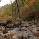 광치마을 이미지