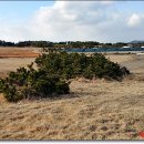 신천목장 이미지